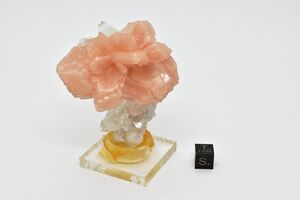 FMM 3 4223.JPG