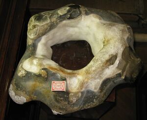 FMM 1 88782 flint els.JPG