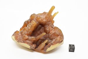 FMM 3 3847.JPG