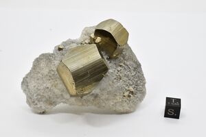FMM 3 3528.JPG