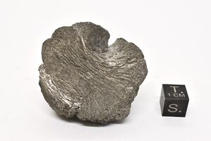 FMM 3 3469.JPG