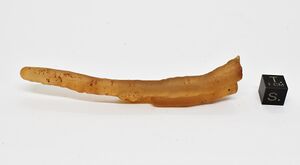 FMM 3 3840.JPG