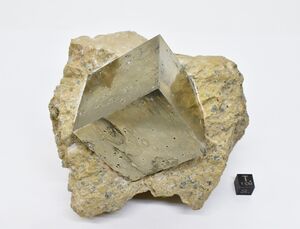 FMM 3 3512.JPG