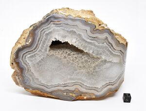 FMM 3 3871.JPG