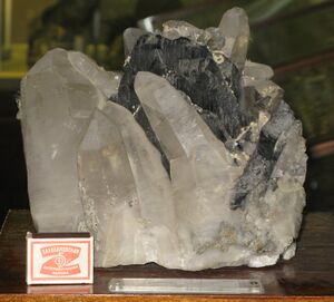 FMM 1 88783 hubnerite els.JPG