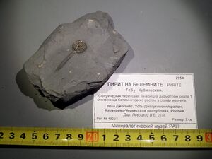 FMM 3 2954 pyrite.JPG