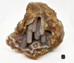 FMM 3 3829.JPG