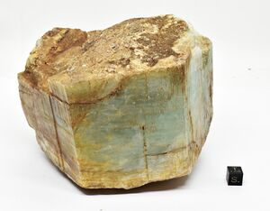 FMM 1 15412 new new.JPG