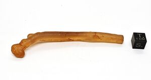 FMM 3 3839.JPG