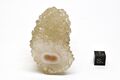 FMM 3 3845 2 sm.JPG