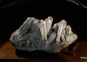 FMM 1 88778 danburite.JPG