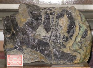 FMM 1 88776 galena els.JPG